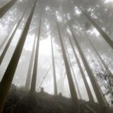 霧の中の登山道