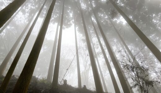 【予測と対処】山の霧が発生するメカニズムや気象条件！