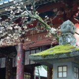 神社の風景