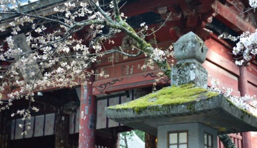 【富士山神社の秘密】神秘的なパワースポットを探索しよう！