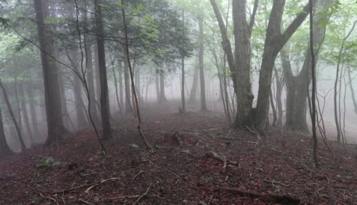 霧の中の登山道