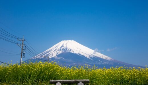 電柱による景観の破壊