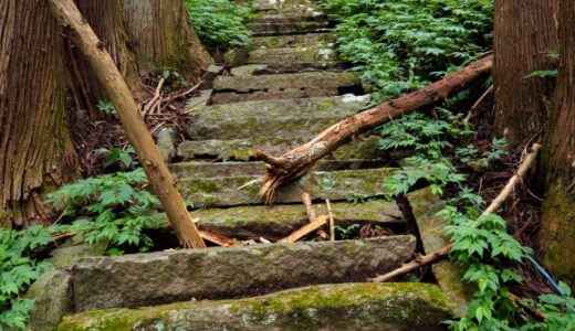 倒木で塞がった登山道