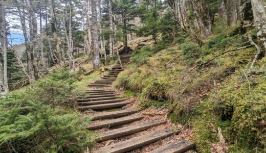 大峰山の山道