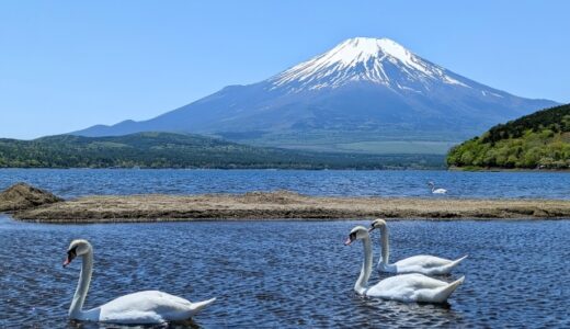 山と白鳥の画像