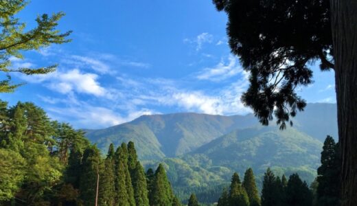 山と森の違いとは？区別するための定義と特徴について