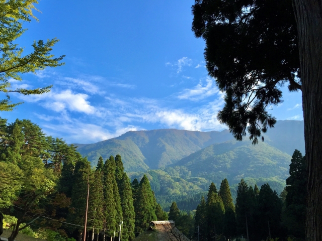 山と森