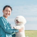 少女と遊ぶ犬