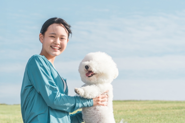 少女と遊ぶ犬