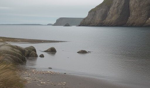 【潮見表】正しい見方を解説 | 海釣りのタイミングを掴む方法