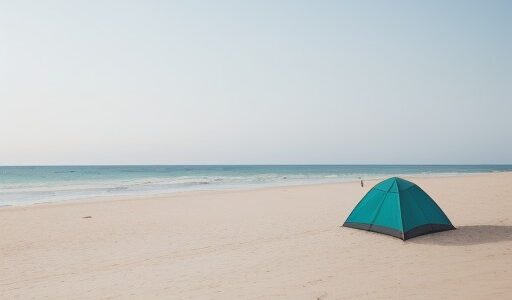 【ウミガメ】産卵場所の見つけ方 | 砂浜での観察ポイント
