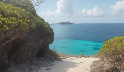 【ダイビング】沖縄の海で出会う魚 | 種類と見分け方のまとめ