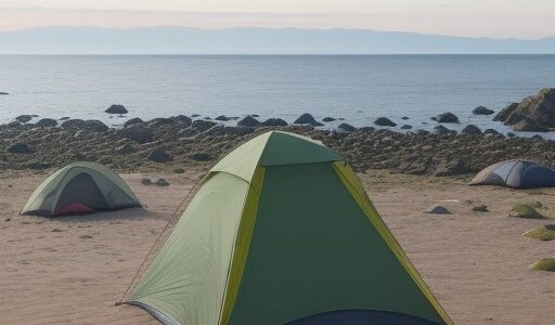 【海釣り】初心者が守りたいマナー | ゴミの持ち帰りと注意点