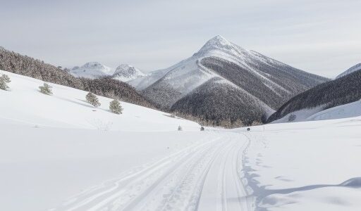 【登山スパイク】冬山で滑らない選び方 | 雪道歩行のポイント