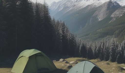 【山菜採取】ルールを守る採取方法 | 山でのマナーと注意点