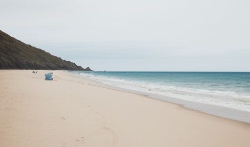 【サーフ釣り】おすすめの仕掛け | 砂浜で狙う魚と道具の選び方