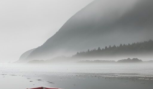 【海霧】出現するタイミング | 釣り船が出る時間帯と傾向