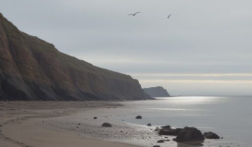 【潮位】の変化とタイミング | 岩場での釣りにおける危険な状況
