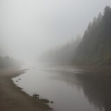 【川釣り】朝の霧が立ち込める川岸 | 視界の悪い中での釣行記録 をイメージした 広角の風景、川、川 の写真