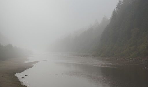 【川釣り】朝の霧が立ち込める川岸 | 視界の悪い中での釣行記録