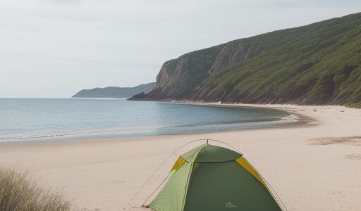 【キス釣り】初心者向け仕掛けの選び方 | 砂浜での釣り方とコツ