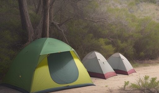 【カンパチ】ルアー選びのコツ | 釣果を伸ばすおすすめの道具