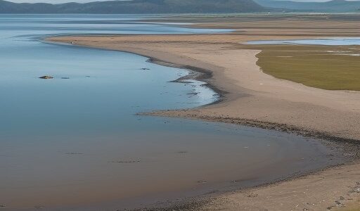 【潮位】低い時の釣りへの影響 | 海岸でのポイント選びと注意点