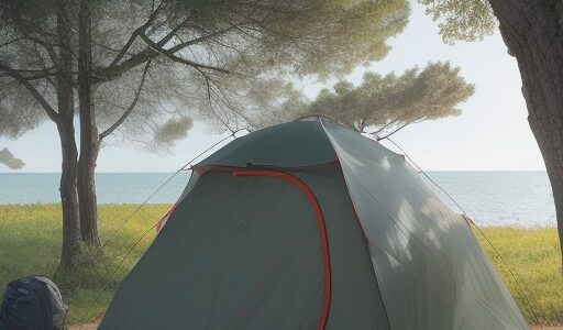 【クロダイ】釣りの仕掛け選び | 初心者が揃えたい道具とコツ