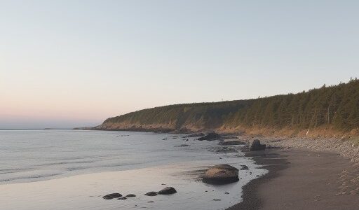 【潮の流れ】海での移動速度 | 安全に泳ぐための注意点