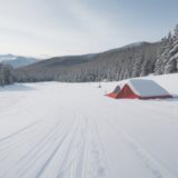 【スノーボード】ストックの活用法 | 雪山での移動を楽にする使い方 をイメージした 広角の風景、雪景色、山、雪景色 の写真