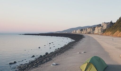 【シーバス】堤防での釣り | 魚の活性を上げる方法とコツ