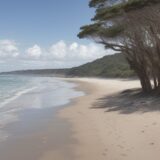 【潮位】満潮時の避難タイミング | 海辺の安全な歩き方 をイメージした 広角の風景 の写真