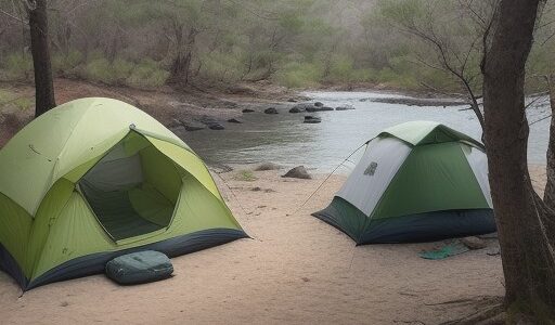 【フグ】毒を除去する方法 | 安全に調理するための手順と注意点