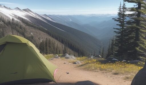 【山歩き】春の登山道で見つけた花々 | 往復コースの体験記