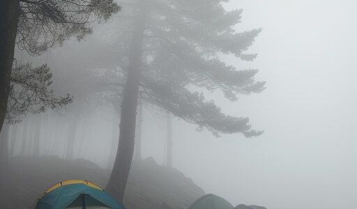 【海霧】視界への影響と安全な航行 | 具体的な対策まとめ