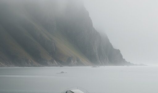 【海霧】発生する仕組みと条件 | 海岸で見かける白い霧の正体