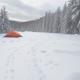 【山菜】残雪期の採取タイミング | おすすめの場所と注意点 をイメージした 広角の風景、雪景色 の写真