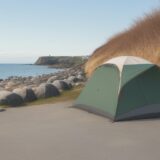 【シーバス】堤防でのリトリーブ方法 | ルアーの動きを出すコツ をイメージした 広角の風景 の写真