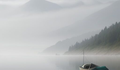 【海霧】視界が戻るまでの時間 | 釣り船での待ち方と判断基準