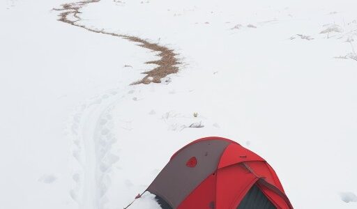 【山菜】残雪期の採取ポイント | 種類別の見分け方と注意点
