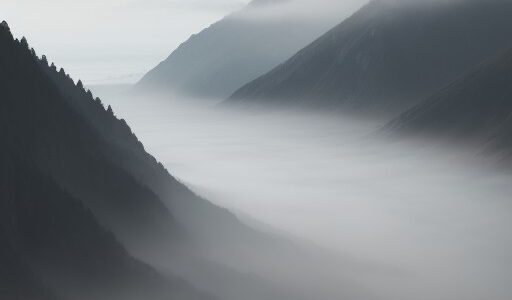 【海霧】視界が回復するタイミング | 安全な航行への判断基準