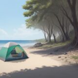 【海水浴】夏の海岸で事故に備える準備 | 救急セットの中身と使い道 をイメージした 広角の風景、夏 の写真