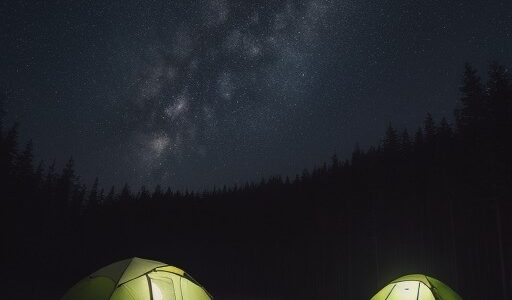 【キャンプ場】星空が頭上に広がる場所 | 木々に囲まれて過ごす夜の時間