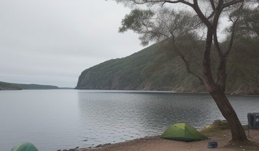 【海釣り】初心者が狙う魚種 | 魚探の使い方とポイント