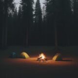 【キャンプ】焚き火の準備とコツ | 夜の森で過ごす時間 をイメージした 広角の風景、森 の写真