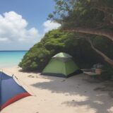 【熱帯魚】サンゴ礁に住む魚たち | 沖縄の海で見つけた生き物の記録 をイメージした 広角の風景 の写真