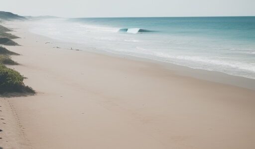 【サーフィン】ボードを持って訪れる海岸 | 波が寄せる砂浜と波待ちの時間