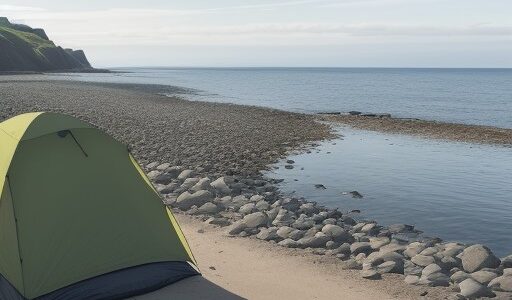 【海釣り】夏の堤防で狙う青物の仕掛け | 海洋生物の観察と記録ノート