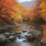 【渓流釣り】秋の山道を歩いて | 紅葉の中で狙うヤマメとイワナ をイメージした 広角の風景、山、ハイキング、秋 の写真