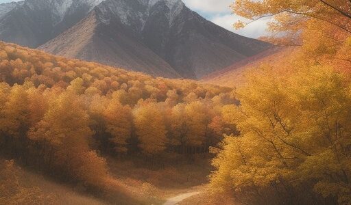 【渡州】秋の登山道 | 山全体に紅葉が広がるルートと山頂からの眺め
